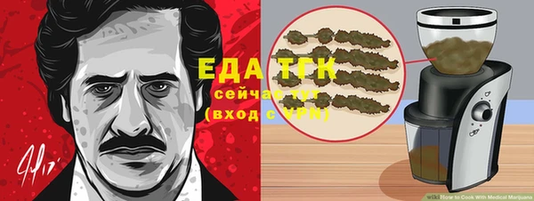 молекула духа Вяземский