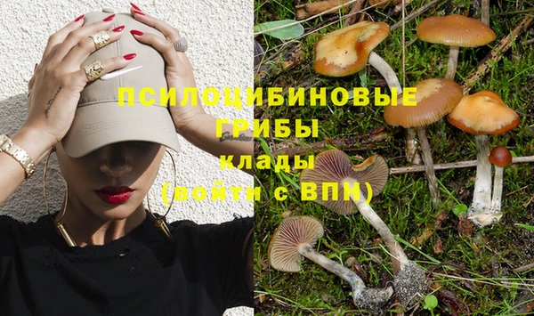 прущий лед Вязьма