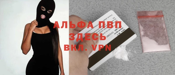молекула духа Вяземский