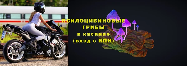 стаф Сафоново