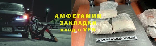 молекула духа Вяземский