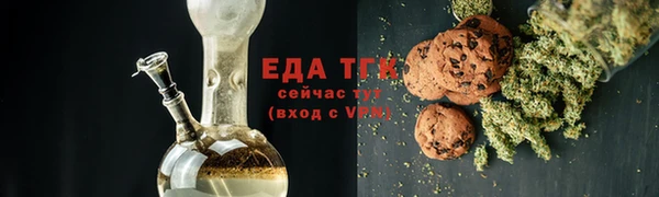 молекула духа Вяземский
