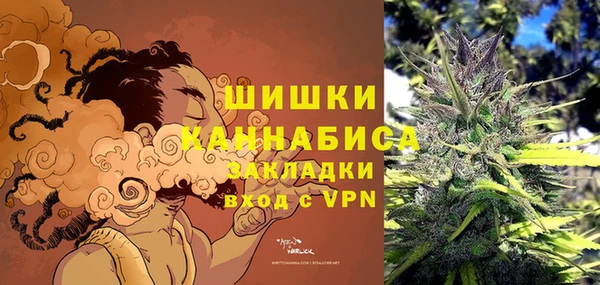 молекула духа Вяземский