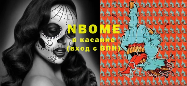 молекула духа Вяземский