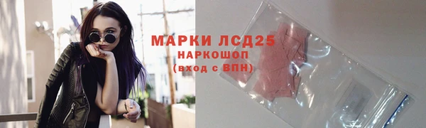 молекула духа Вяземский