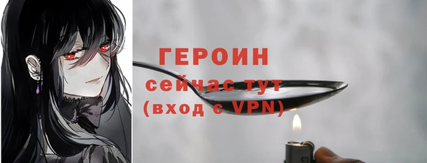шишки Медвежьегорск