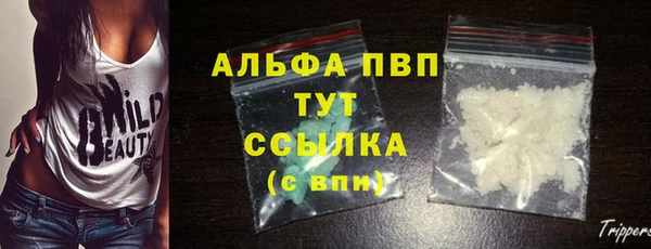 молекула духа Вяземский