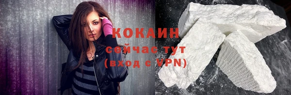 молекула духа Вяземский
